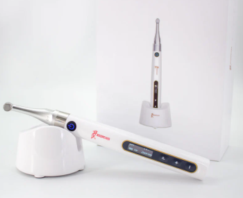 روتاری وودپیکر اندوپیس Woodpecker Endo Pace