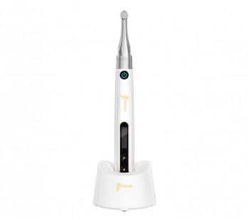 روتاری وودپیکر اندوپیس Woodpecker Endo Pace - Image 2